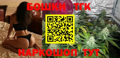 прущие грибы Усть-Джегута